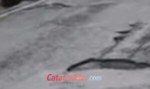 WhatsApp Image 2026-01-16 at 08.47.47 (1)