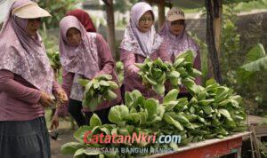 WhatsApp Image 2026-04-03 at 13.53.23 (1)