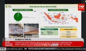 WhatsApp Image 2026-04-07 at 18.15.17