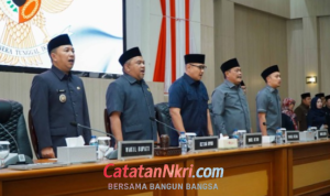 Harmoni Pandangan, Langkah Menuju Masa Depan